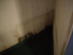 Water Damage Restoration San Antonio